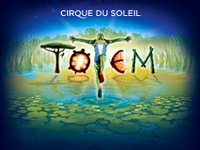 Cirque du Soleil