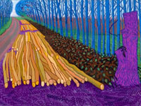 David Hockney - The Bigger Picture