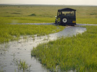 Landrover driving through the marsh