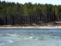 Findhorn Estuary