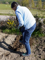 Jane planting potatoes