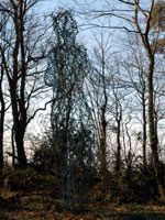 Heligan sculpture